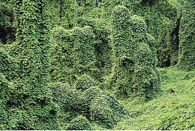 《水果巴士》登陆Steam 水果餐车的开放世界冒险